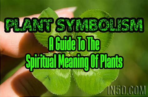 blackjack plant spiritual meaning|Plants That Are Considered Spiritual [Sacred .